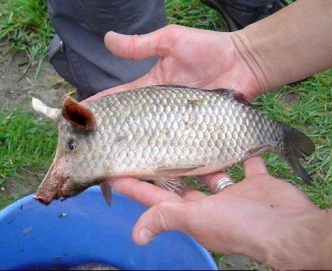 0_cfd6c_3794a355_orig